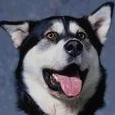 Muki